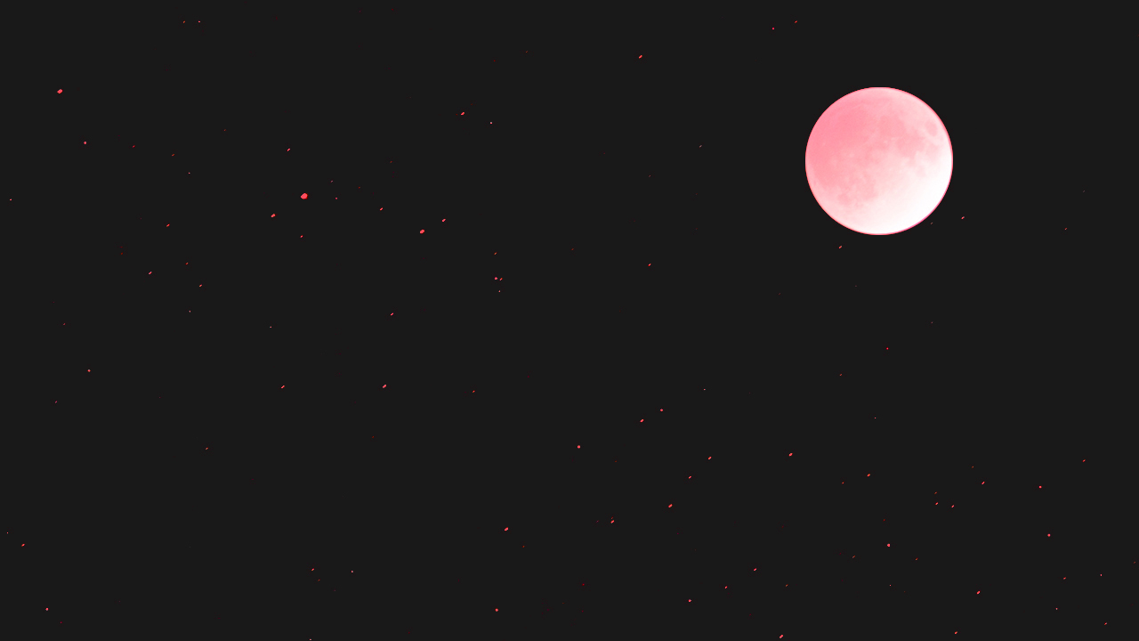 black_moon_bkg-2.jpg